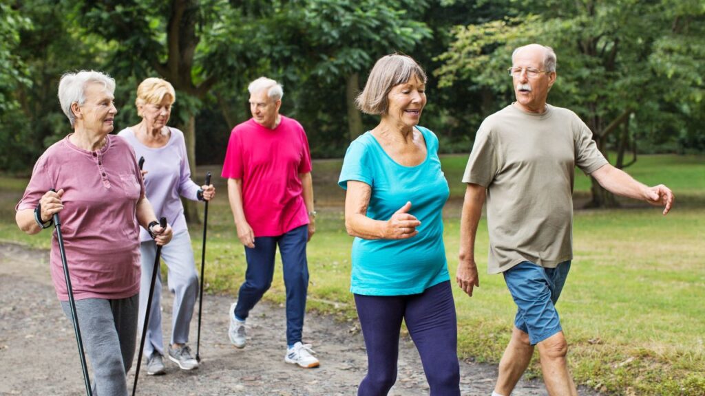 Group of senior walking in the park